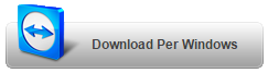 TeamViewer_Windows